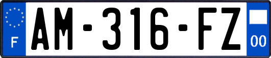 AM-316-FZ