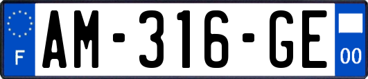 AM-316-GE