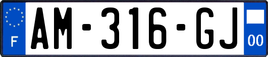 AM-316-GJ