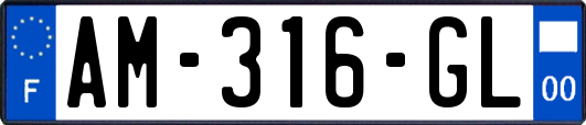 AM-316-GL