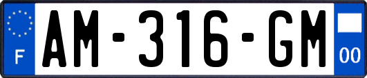 AM-316-GM