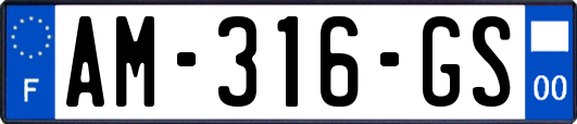 AM-316-GS