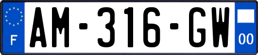 AM-316-GW