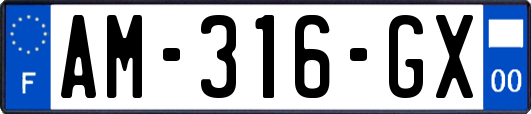 AM-316-GX
