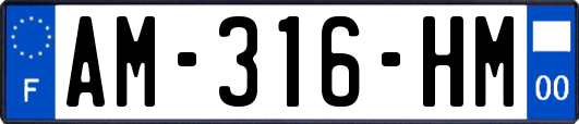 AM-316-HM