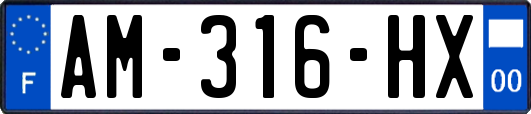 AM-316-HX