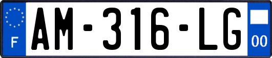 AM-316-LG