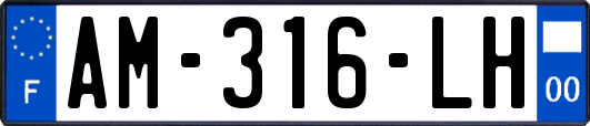 AM-316-LH