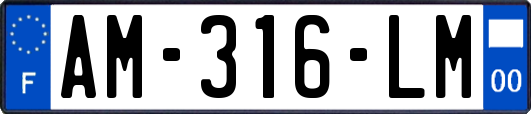 AM-316-LM