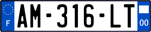 AM-316-LT