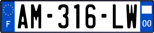 AM-316-LW
