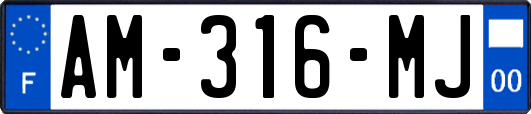 AM-316-MJ