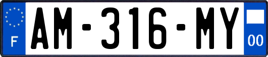 AM-316-MY