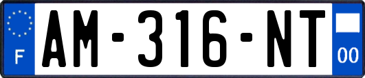AM-316-NT
