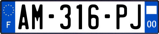 AM-316-PJ