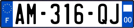 AM-316-QJ