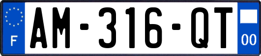 AM-316-QT