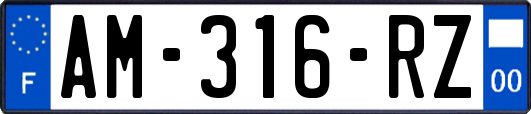 AM-316-RZ