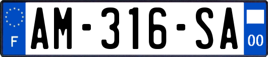 AM-316-SA
