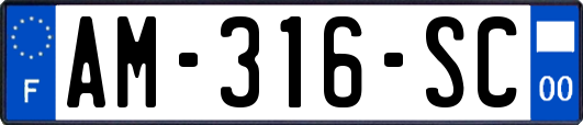 AM-316-SC