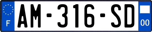 AM-316-SD