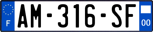 AM-316-SF