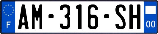 AM-316-SH