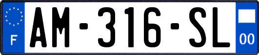 AM-316-SL