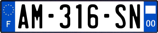 AM-316-SN