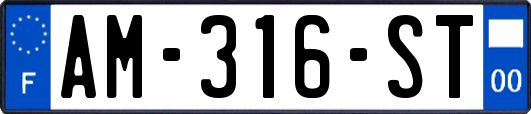AM-316-ST