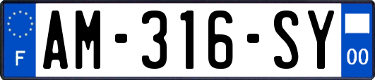AM-316-SY