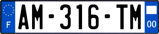 AM-316-TM
