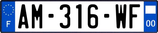 AM-316-WF