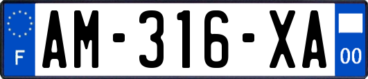 AM-316-XA