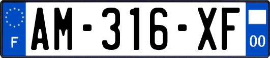 AM-316-XF