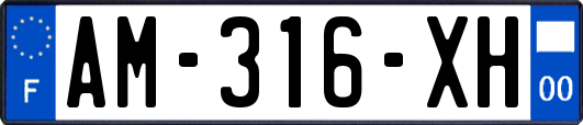 AM-316-XH