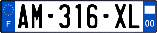 AM-316-XL