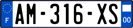 AM-316-XS