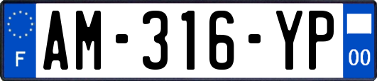 AM-316-YP