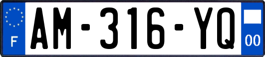 AM-316-YQ