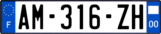 AM-316-ZH