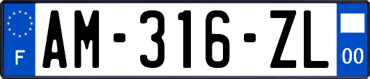 AM-316-ZL