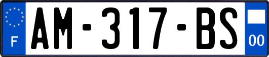 AM-317-BS