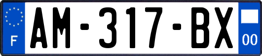 AM-317-BX