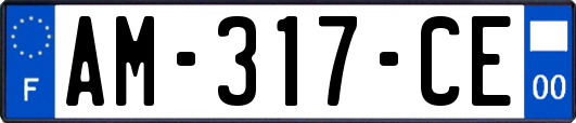 AM-317-CE