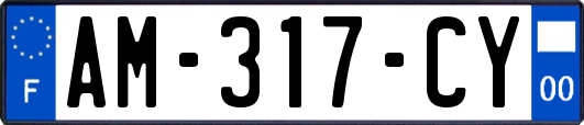 AM-317-CY