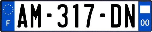 AM-317-DN