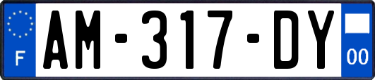 AM-317-DY