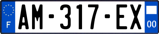 AM-317-EX