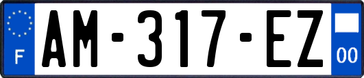 AM-317-EZ